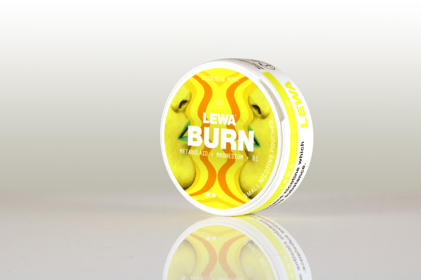 LEWA FUNCTIONAL BURN CITRUS & MINT